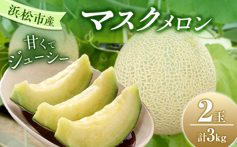 【2026年7月上旬より順次発送】静岡県浜松市産マスクメロン1.5kg×2個