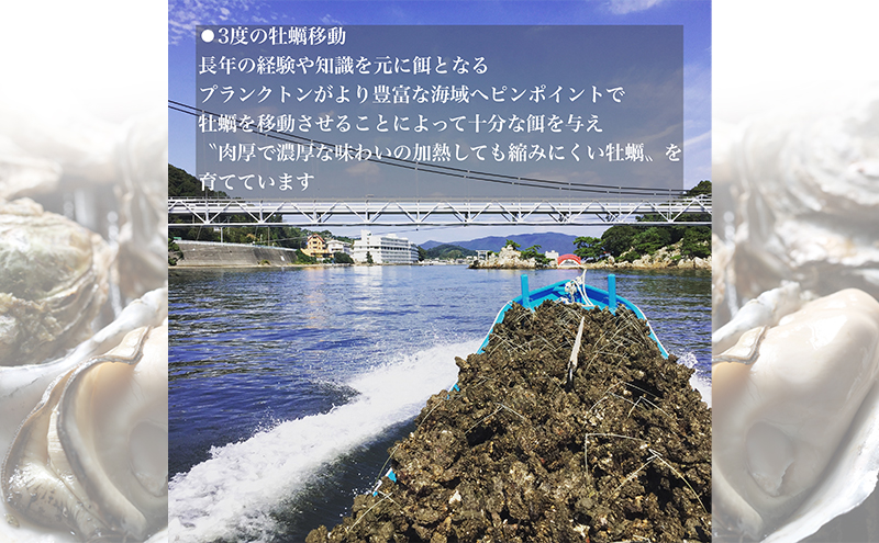 【2025年1月より順次発送】浜名湖産かき大粒むき身500g（加熱用）先行予約  牡蠣 海鮮 魚介 国産 浜名湖産 貝付き 生牡蠣 焼き牡蠣 蒸し牡蠣 冷蔵 産地直送