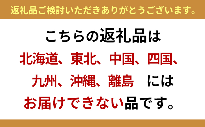 【2025年1月より順次発送】浜名湖産かき大粒むき身500g（加熱用）先行予約  牡蠣 海鮮 魚介 国産 浜名湖産 貝付き 生牡蠣 焼き牡蠣 蒸し牡蠣 冷蔵 産地直送