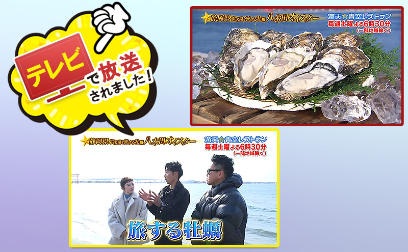 【テレビで紹介されました！】浜名湖産かき大粒むき身500g（加熱用） 牡蠣 八木田オイスター 海鮮 魚介 国産 浜名湖産 生牡蠣 焼き牡蠣 蒸し牡蠣 冷蔵 産地直送