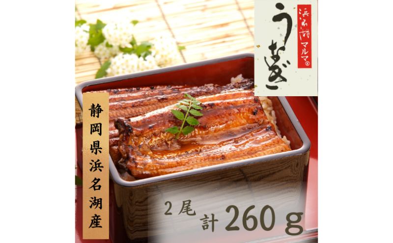 うなぎ 浜名湖 国産 うなぎ蒲焼2本セット 合計260g うなぎ蒲焼 浜名湖産 国産うなぎ 惣菜 おかず ギフト 贈答 土用の丑の日 丑の日 蒲焼き 鰻 真空パック 冷凍 静岡 浜松市
