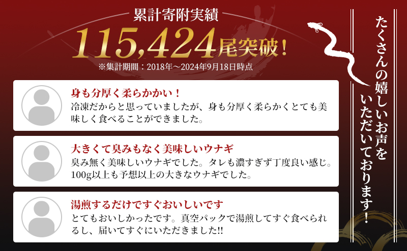 国産うなぎ 浜名湖産 蒲焼き 2尾 (100g以上×2本入) 山椒 たれ セット 詰め合わせ 海老仙 国産 うなぎ ウナギ 鰻 うなぎの蒲焼 土用の丑の日 静岡 浜松