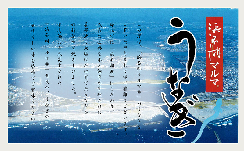 うなぎ 国産 浜名湖マルマ(R) 浜名湖産うなぎ　蒲焼きざみ　90g×3袋　お吸い物付　合計270g 【浜松市】