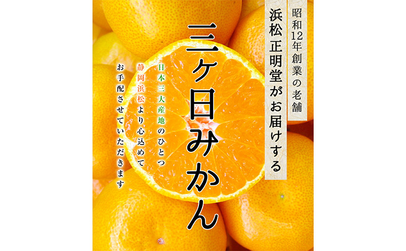 三ケ日みかん 早生【秀品】Mサイズ3kg(27個前後) ミカン 果物 くだもの フルーツ 甘い 静岡県 浜松市 果物類 柑橘類 