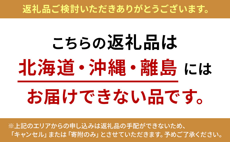 三ヶ日ミカエース 三ヶ日みかん 早生 Mサイズ 特選品4kg(36個前後)  ミカン 果物 くだもの フルーツ 甘い 静岡県 浜松市 果物類 柑橘類 