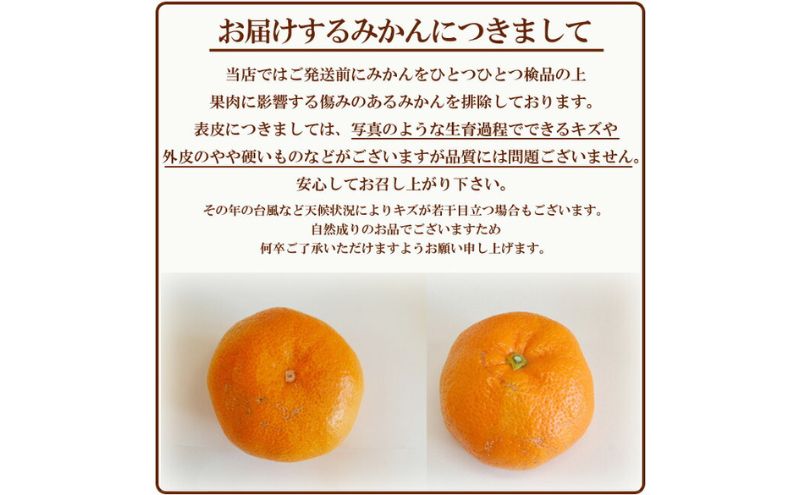 三ヶ日青島みかん【優品】2Lサイズ 7kg (40個前後) ミカン 果物 くだもの フルーツ 甘い 浜松市