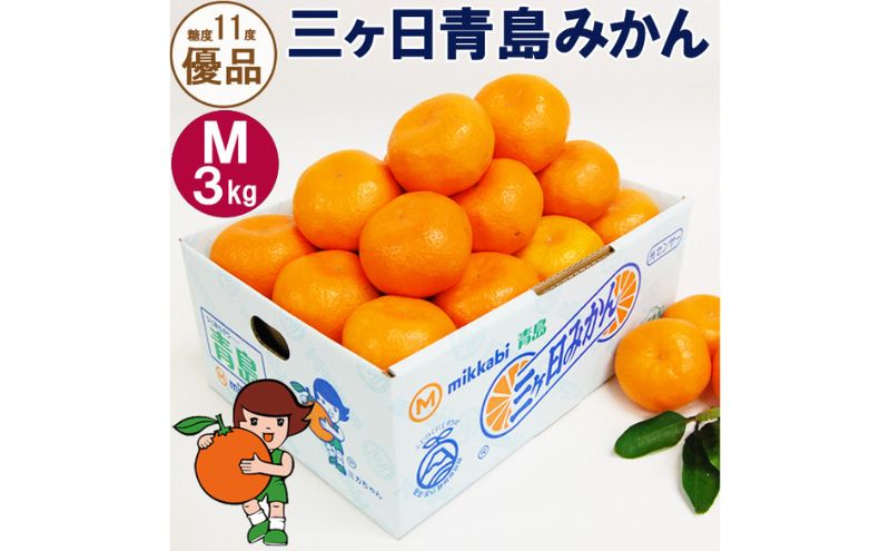 三ヶ日青島みかん【優品】Mサイズ3kg (27個前後) ミカン 果物 くだもの フルーツ 甘い 浜松市 