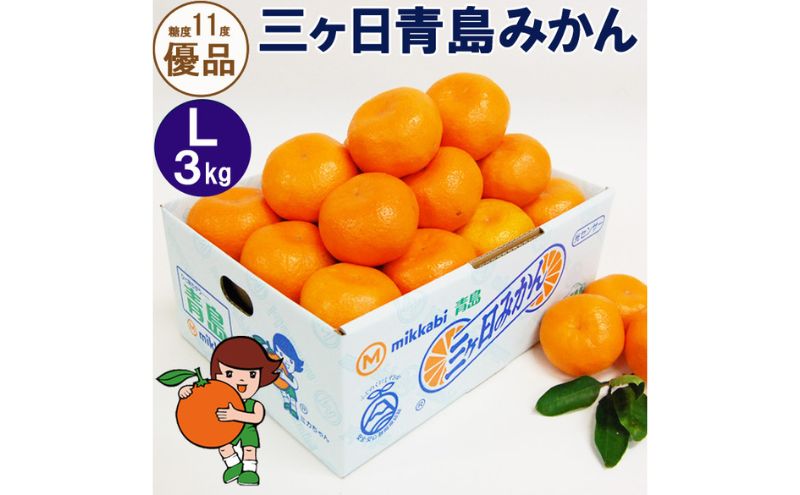 三ヶ日青島みかん【優品】Lサイズ 3kg (23個前後) ミカン 果物 くだもの フルーツ 甘い 浜松市