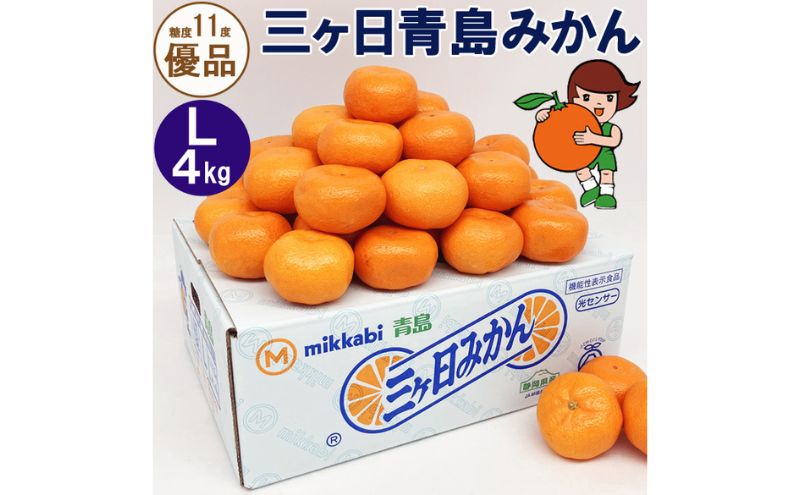 三ヶ日青島みかん【優品】Lサイズ 4kg (30個前後) ミカン 果物 くだもの フルーツ 甘い 浜松市