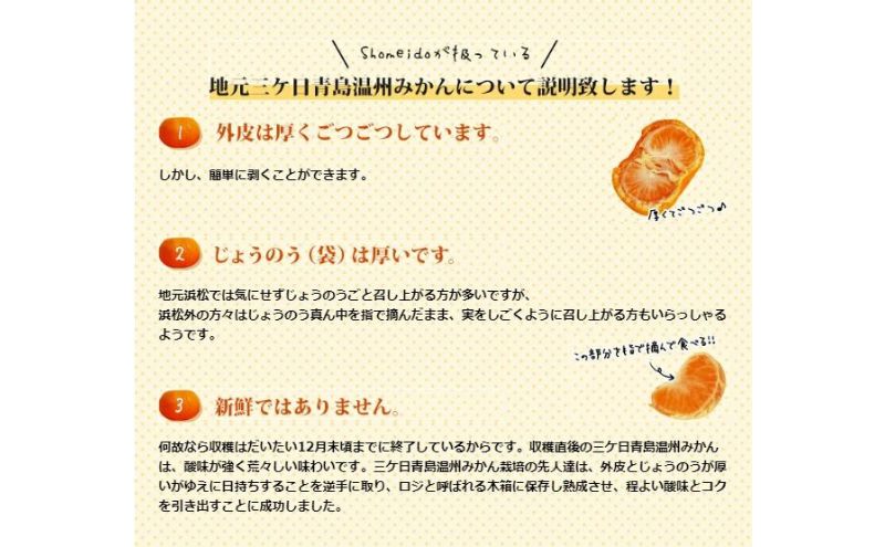 三ヶ日青島みかん【優品】Lサイズ 8kg (60個前後) ミカン 果物 くだもの フルーツ 甘い 浜松市