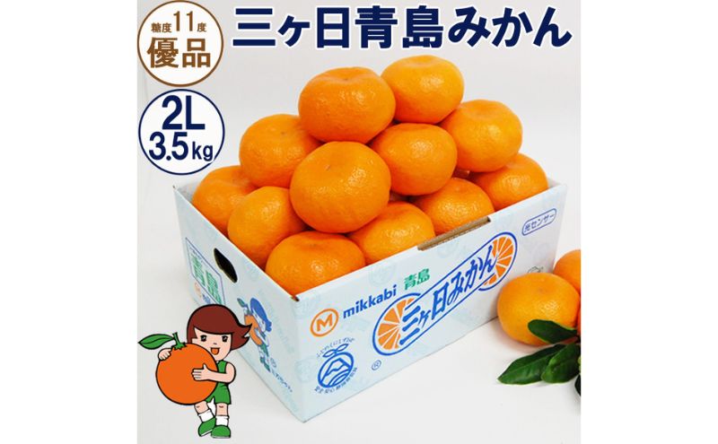 三ヶ日青島みかん【優品】2Lサイズ 3.5kg (20個前後) ミカン 果物 くだもの フルーツ 甘い 浜松市