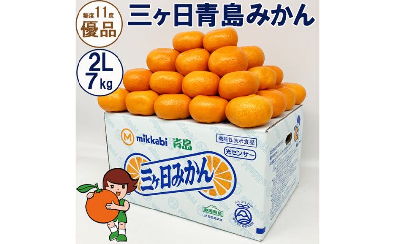 三ヶ日青島みかん【優品】2Lサイズ 7kg (40個前後) ミカン 果物 くだもの フルーツ 甘い 浜松市