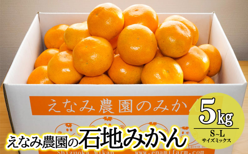 えなみ農園の石地みかん　5kg（S～Lサイズミックス） みかん ミカン 柑橘 果物 くだもの フルーツ 浜松市 静岡