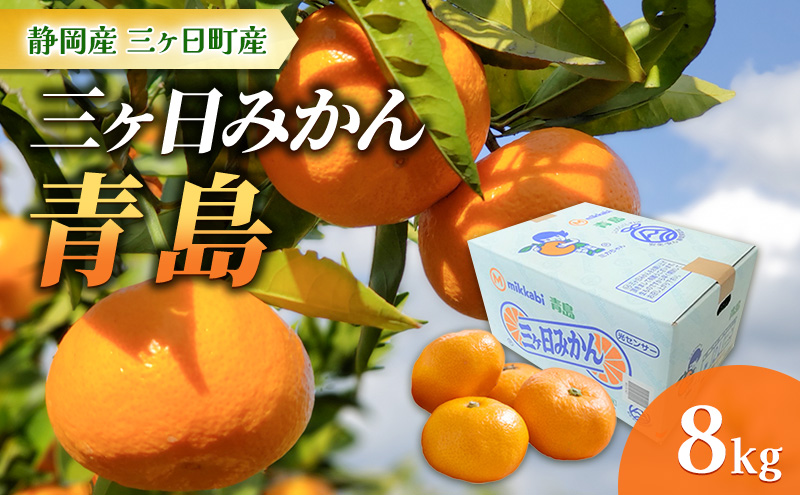 【2025年1月より順次発送】三ヶ日みかん【青島】8kg/箱 静岡県浜松市三ヶ日産 みかん ミカン 蜜柑 果物 フルーツ 柑橘 柑橘類 静岡 浜松市 三ヶ日