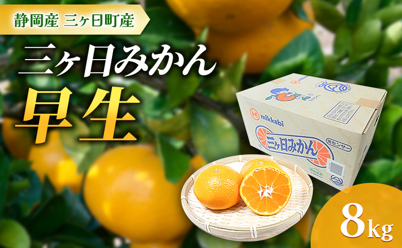 【2024年11月より順次発送】三ヶ日みかん【早生】8kg/箱 静岡県浜松市三ヶ日産 早生 みかん ミカン 蜜柑 果物 フルーツ 柑橘 柑橘類 静岡 浜松市 三ヶ日