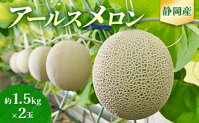 【2025年7月より順次発送】アールスメロン 2個 セット 約1.5kg×2個 静岡県浜松市産 メロン 2玉 果物 フルーツ 静岡 浜松市 三ヶ日