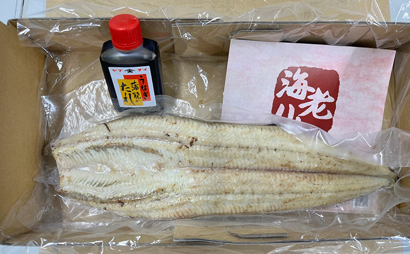 【訳アリ・数量限定】浜名湖鰻白焼1本（約250ｇ） ビッグサイズ うなぎ ウナギ 鰻 白焼 白焼き 魚貝類 訳あり 静岡県 浜松市