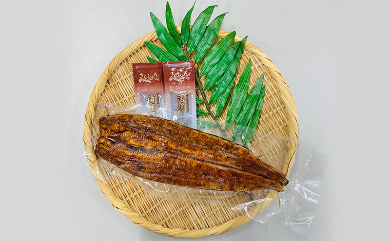 【訳アリ・数量限定】浜名湖鰻蒲焼1本（約250ｇ） ビッグサイズ　うなぎ ウナギ 鰻 蒲焼 蒲焼き 魚貝類 訳あり 静岡県 浜松市