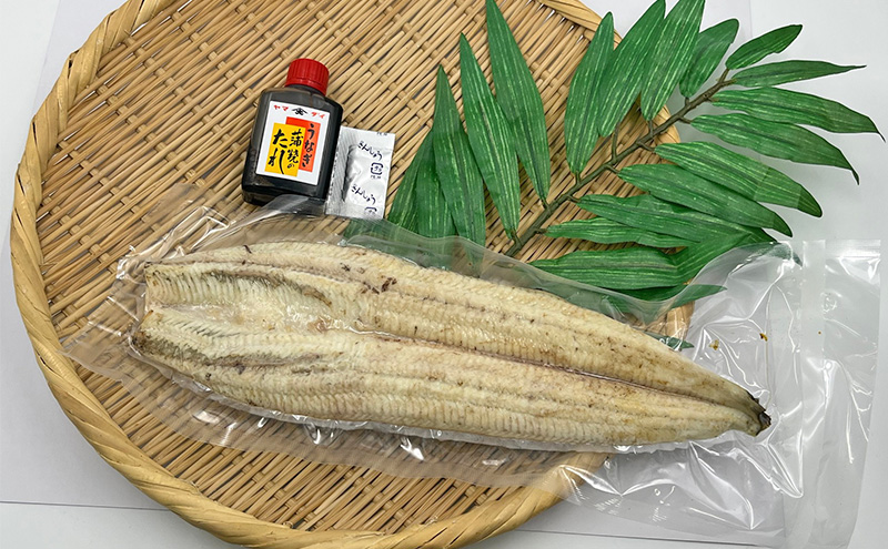 【訳アリ・数量限定】浜名湖鰻白焼1本（約250ｇ） ビッグサイズ うなぎ ウナギ 鰻 白焼 白焼き 魚貝類 訳あり 静岡県 浜松市