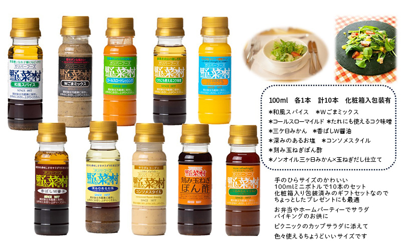 野菜村ドレッシング ミニボトル10本 ギフトセット 各100ml 計10本 セット 化粧箱入 包装有 静岡 浜松市