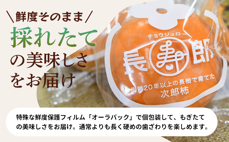 テルの次郎柿 鮮度保持袋入り 3L～M 3kg 10～16玉 11月発送 長寿郎 柿 かき 果物 くだもの フルーツ 旬の果物 旬のフルーツ 秋の味覚 次郎柿 デザート 静岡 静岡県 浜松市 【配送不可：離島】