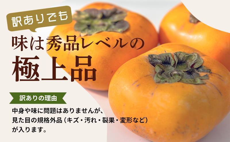 先行予約 訳あり 次郎柿 長寿郎 3L～M 20～32玉 家庭用 12月上旬から順次発送 果物 くだもの フルーツ 旬の果物 旬のフルーツ 柿 かき 訳アリ 静岡 静岡県 浜松市 【配送不可：離島】