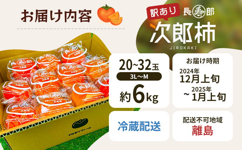 先行予約 訳あり 次郎柿 長寿郎 3L～M 20～32玉 家庭用 12月上旬から順次発送 果物 くだもの フルーツ 旬の果物 旬のフルーツ 柿 かき 訳アリ 静岡 静岡県 浜松市 【配送不可：離島】