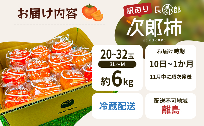 先行予約 訳あり 次郎柿 長寿郎 3L～M 20～32玉 家庭用 11月中に順次発送 果物 くだもの フルーツ 旬の果物 旬のフルーツ 柿 かき 訳アリ 静岡 静岡県 浜松市 【配送不可：離島】