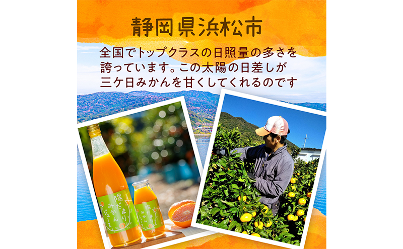 陽だまりファーム 三ヶ日青島みかんジュース ストレート100％ 720ml 4本 青島みかん 静岡 浜松市