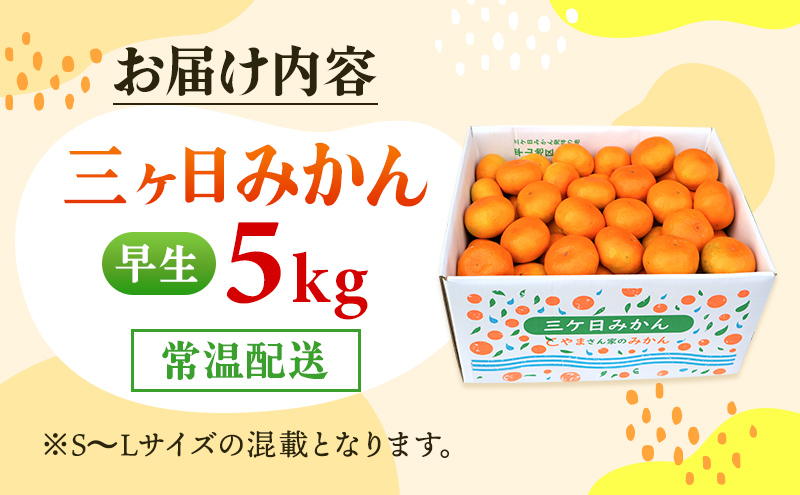 三ヶ日みかん 早生 5kg S～L 11月下旬より順次発送 みかん ミカン 蜜柑 早生みかん 三ヶ日 果物 くだもの フルーツ 旬の果物 旬のフルーツ 柑橘 柑橘類 糖度 静岡 静岡県 浜松市