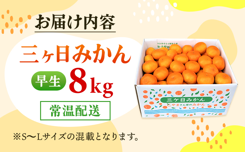 三ヶ日みかん 早生 8kg S～L 11月下旬より順次発送 みかん ミカン 蜜柑 早生みかん 三ヶ日 果物 くだもの フルーツ 旬の果物 旬のフルーツ 柑橘 柑橘類 糖度 静岡 静岡県 浜松市