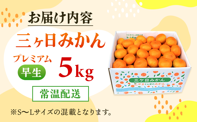 三ヶ日みかん プレミアム 早生 5kg S～Lサイズ混合 11月下旬より順次発送 みかん ミカン 蜜柑 早生みかん 三ヶ日 果物 くだもの フルーツ 旬の果物 旬のフルーツ 柑橘 柑橘類 糖度 静岡 静岡県 浜松市