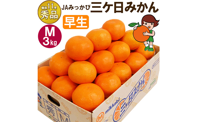 三ケ日みかん 早生【秀品】Mサイズ3kg(27個前後) ミカン 果物 くだもの フルーツ 甘い 静岡県 浜松市 果物類 柑橘類