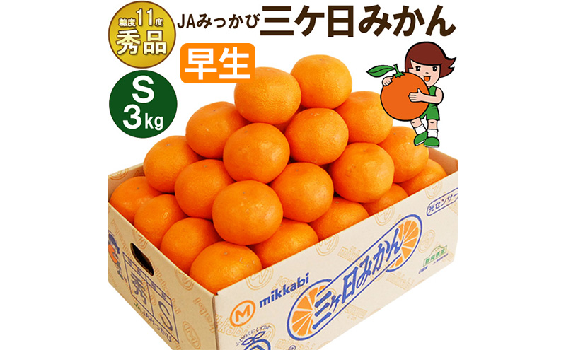 三ケ日みかん 早生【秀品】Sサイズ3kg(36個前後) ミカン 果物 くだもの フルーツ 甘い 静岡県 浜松市 果物類 柑橘類