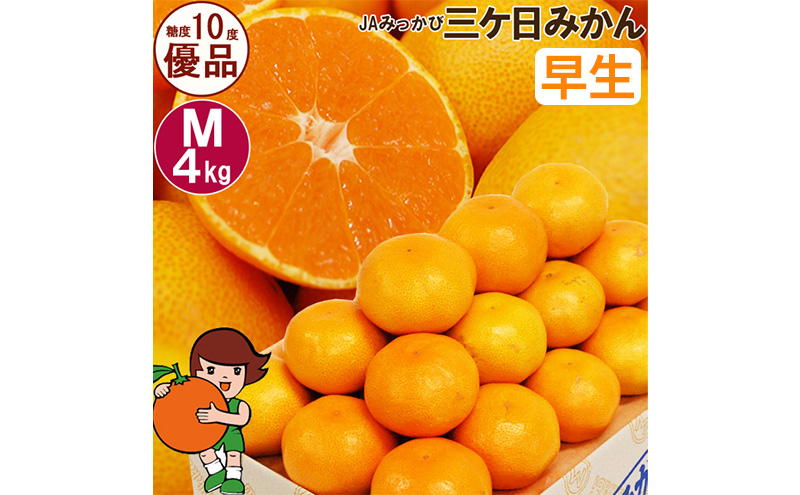三ケ日みかん 早生【優品】Mサイズ4kg(36個前後)  ミカン 果物 くだもの フルーツ 甘い 静岡県 浜松市 果物類 柑橘類