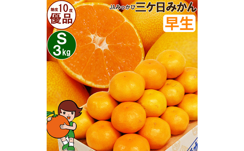 三ケ日みかん 早生【優品】Sサイズ3kg(36個前後) ミカン 果物 くだもの フルーツ 甘い 静岡県 浜松市 果物類 柑橘類