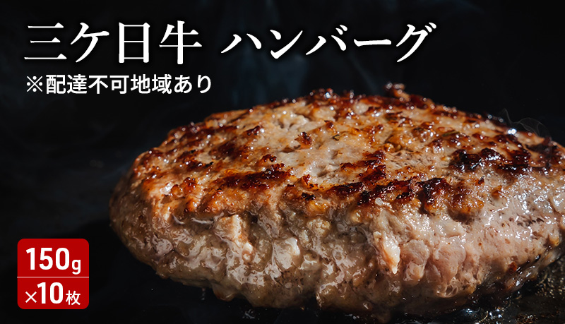 三ケ日牛ハンバーグ 150g×10枚セット 三ケ日牛 牛肉 ハンバーグ セット 冷凍 惣菜 静岡 浜松市