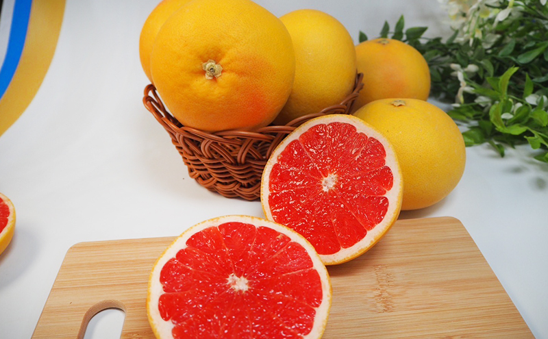 【2026年4月上旬より順次発送】 静岡県浜松市産グレープフルーツ約2kg（4〜6個） 果物 フルーツ 国産 静岡 浜松市