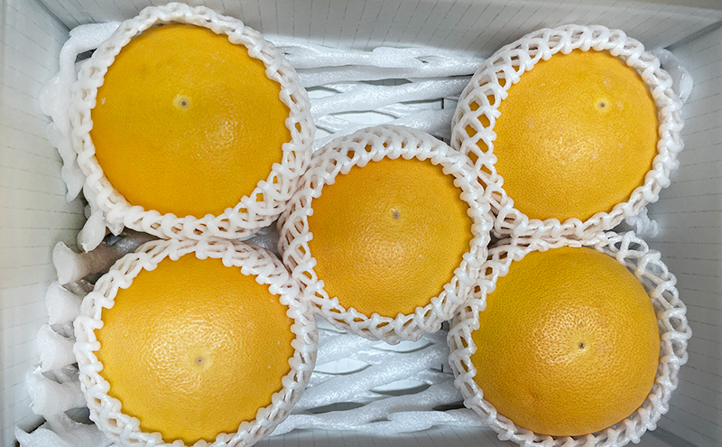 【2026年4月上旬より順次発送】 静岡県浜松市産グレープフルーツ約2kg（4〜6個） 果物 フルーツ 国産 静岡 浜松市