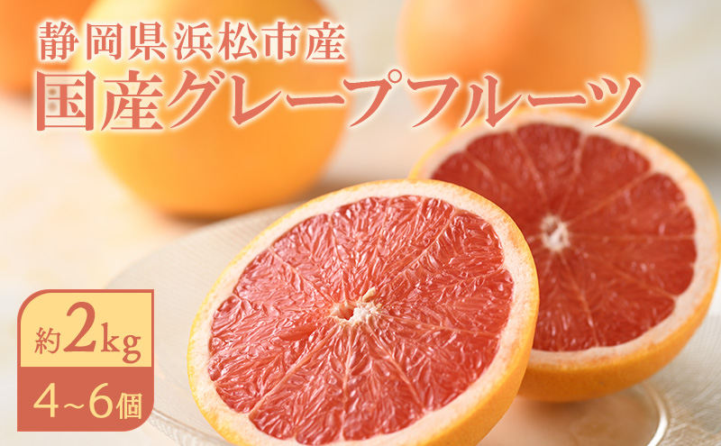 【2026年4月上旬より順次発送】 静岡県浜松市産グレープフルーツ約2kg（4〜6個） 果物 フルーツ 国産 静岡 浜松市