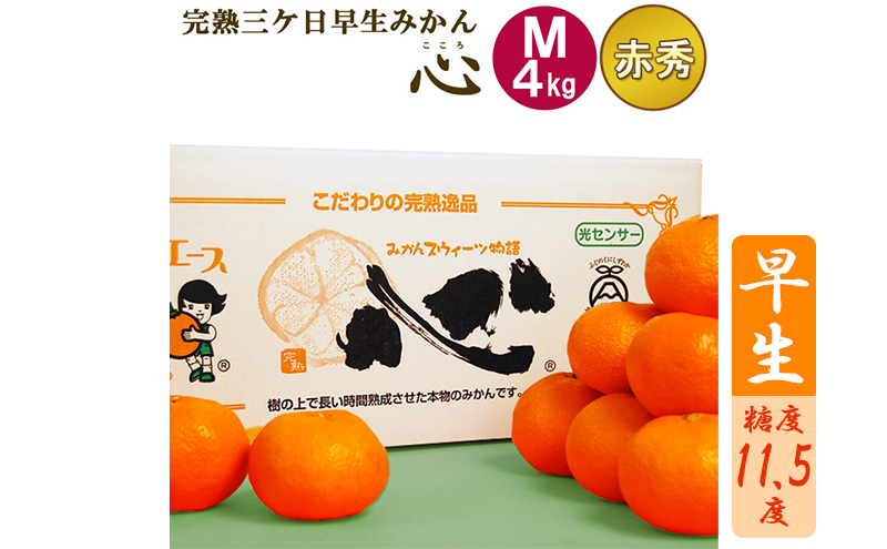 完熟三ヶ日早生みかん「心(こころ)」早生【赤秀品】Mサイズ4kg(36個前後)  ミカン 果物 くだもの フルーツ 甘い 静岡県 浜松市 果物類 柑橘類 