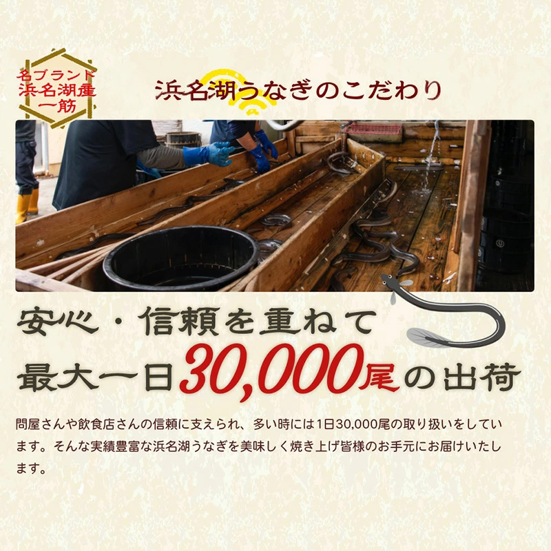 国産うなぎ 浜名湖産 長蒲焼き 2尾 合計300g以上 山椒 たれ セット 詰め合わせ 国産ウナギ 国産 うなぎ ウナギ 鰻 蒲焼き うなぎの蒲焼 鰻の蒲焼き 小分け おすすめ 贈答用 ギフト 冷蔵 静岡 静岡県 浜松市