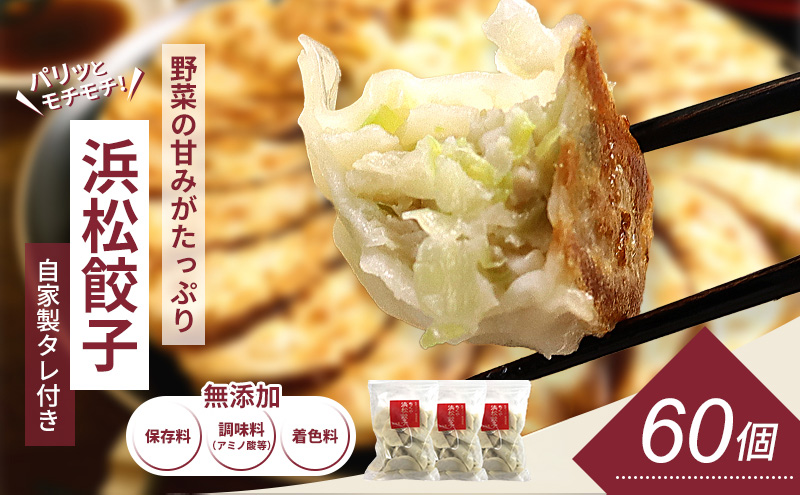 浜松餃子 60個 (20個×3袋) セット 詰め合わせ 餃子のタレ 小袋 知久屋 国産 ぎょうざ 餃子 ギョーザ 冷凍餃子 静岡 静岡県 浜松市 【配送不可：離島】