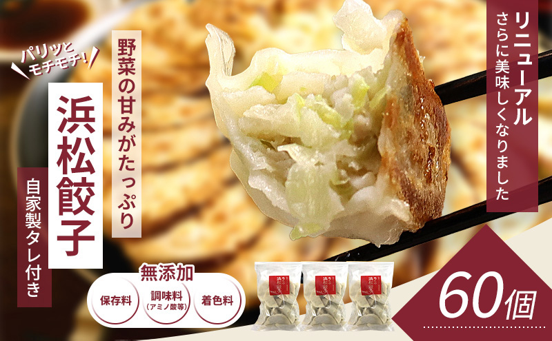 浜松餃子 60個 (20個×3袋) セット 詰め合わせ 餃子のタレ 小袋 知久屋 国産 ぎょうざ 餃子 ギョーザ 冷凍餃子 静岡 静岡県 浜松市 【配送不可：離島】