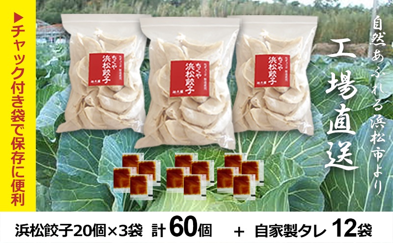 浜松餃子 60個 (20個×3袋) セット 詰め合わせ 餃子のタレ 小袋 知久屋 国産 ぎょうざ 餃子 ギョーザ 冷凍餃子 静岡 静岡県 浜松市 【配送不可：離島】