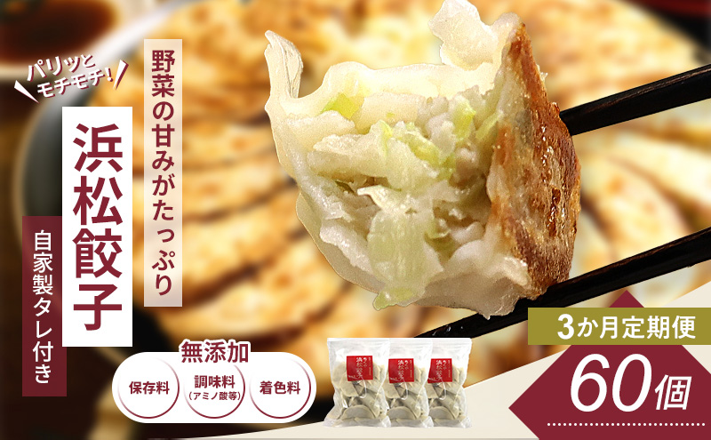 【定期便3回】浜松餃子 60個 (20個×3袋) セット 詰め合わせ 餃子のタレ 小袋 知久屋 国産 ぎょうざ 餃子 ギョーザ 冷凍餃子 静岡 静岡県 浜松市 【配送不可：離島】