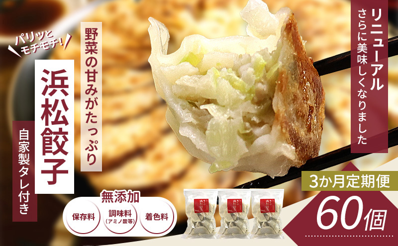 【定期便3回】浜松餃子 60個 (20個×3袋) セット 詰め合わせ 餃子のタレ 小袋 知久屋 国産 ぎょうざ 餃子 ギョーザ 冷凍餃子 静岡 静岡県 浜松市 【配送不可：離島】