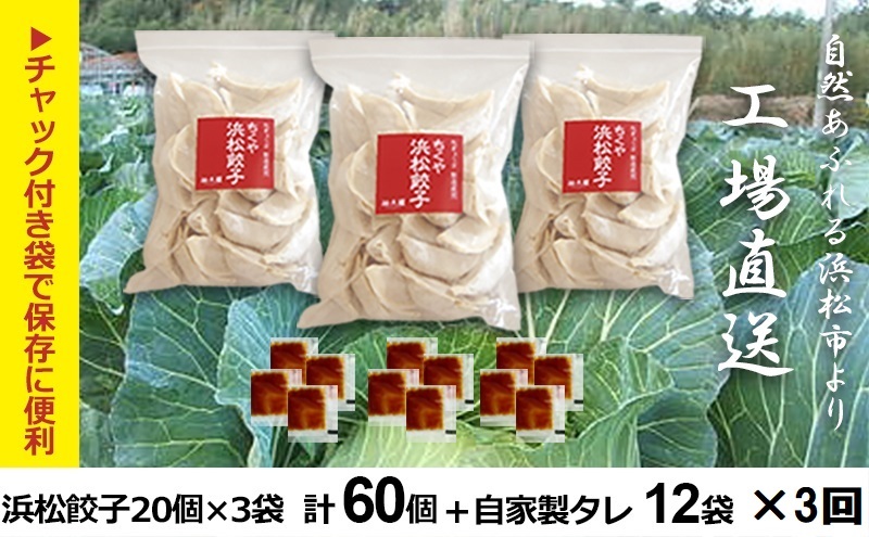 【定期便3回】浜松餃子 60個 (20個×3袋) セット 詰め合わせ 餃子のタレ 小袋 知久屋 国産 ぎょうざ 餃子 ギョーザ 冷凍餃子 静岡 静岡県 浜松市 【配送不可：離島】