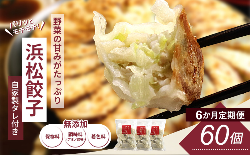 【定期便6回】浜松餃子 60個 (20個×3袋) セット 詰め合わせ 餃子のタレ 小袋 知久屋 国産 ぎょうざ 餃子 ギョーザ 冷凍餃子 静岡 静岡県 浜松市 【配送不可：離島】