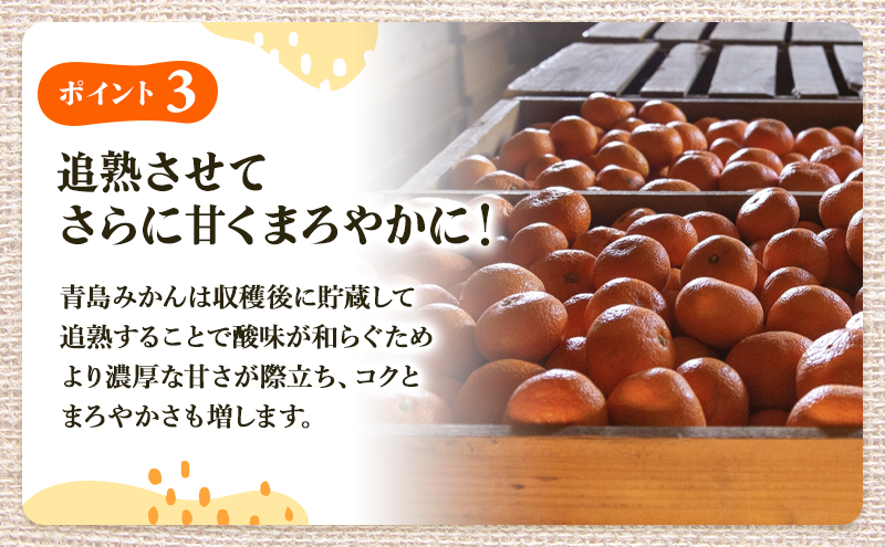 先行予約 青島みかん M～2Lサイズ サイズ混在 5kg 三ヶ日みかん 果物 くだもの フルーツ 旬の果物 旬のフルーツ みかん 蜜柑 ミカン 三ヶ日 青島 柑橘 柑橘類 静岡 静岡県 浜松市